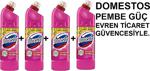 Domestos Pembe Güç 810 Gr 4'Lü Çamaşır Suyu