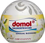 Domol 100 ml Oda Kokusu Küresi