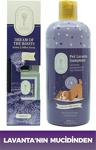 Dr. Lavender Dekoratif Lavanta Oda Kokusu 100 Ml + Pire Önleyici Köpek Şampuanı 400 Ml