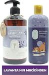 Dr. Lavender Pire Önleyici Köpek Şampuanı 400 Ml Pet Şampuan + Tuzsuz Lavanta Yağlı Yetişkin Şampuan