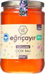 Eğriçayır Organik Çiçek Balı 850 G