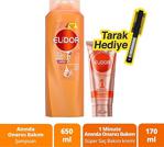 Elidor Anında Onarıcı Bakım Şampuanı 650Ml+1 Minute Anında Onarıcı Süper Saç Bakım Kremi 170Ml+Fırça