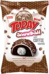 Elvan Today Snowball Kahveli Kek 45 Gr. 24 Adet (1 Kutu)