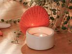 English Home Shell Dekoratif Obje 6,8X6,3X7 Cm Turuncu