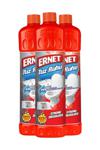 Ernet 1000 ml 3'lü Paket Süper Tuz Ruhu