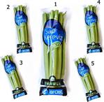 Erüst Tarım Sap Kereviz (Celery) 5 Paket