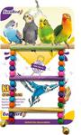 Eurobird Kuş Oyuncağı Renkli Boncuklu Merdiven