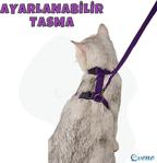 Evene Kedi Tasması Kedi Göğüs Bel Ayarlanabilir Dayanıklı Sağlam Tasma Mor