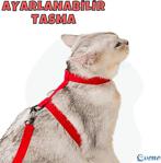 Evene Kedi Tasması Kedi Gögüs Bel Ayarlanabilir Tasma Kırmızı