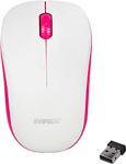 Everest SM-165 Optik Kablosuz Mouse