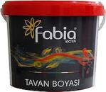 Fabia Boya Tavan Boyası TSE (20 kg - 10 kg - 3,5 kg )