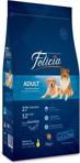 Felicia Az Tahıllı Somonlu Medium Large Breed 3 kg Yetişkin Kuru Köpek Maması