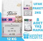 Felicia Kuzulu Yavru Kedi Maması 12 Kg + 2 Kg Hediye