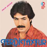 Ferdi Tayfur- İnsan Sevince Plak