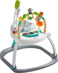 Fisher Price Renk Karnavalı Katlanabilir Jumperoo Fdg98