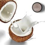 Flora And Fauna Coconut Lip Balm 5Gr 0 Natural Dudak Bakım Balm & Kremi