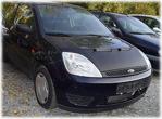 Ford Fi̇esta (02-08) Kaput Maskesi̇