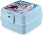 Frozen Beslenme Kabı 43602