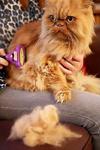 Furminator New Long Hair Uzun Tüylü Kediler Için L Tüy Tarağı