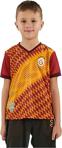 Galatasaray Unisex Çocuk Sarı Kırmızı Taraftar Fan T-Shirt