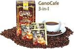 Gano Excel Ganocafe 3'In 1 Ganoderma Coffee 20 X 21 Gr Hazır Kahve Ücretsi̇z Kargo