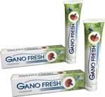 Ganoexcel 2 Adet Gano Fresh Reishi Mantarlı Flörsüz Diş Macunu 150 Ml