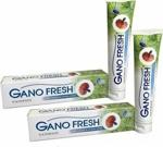 Ganoexcel Gano Soap Excel Fresh Diş Macunu (2 Adetx150 Gr) (2 Kutu)