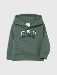 Gap Erkek Bebek Yeşil Logo Kapüşonlu Sweatshirt