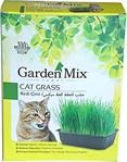 Garden Mix Kutu Kedi Çimi, Kahverengi, 1