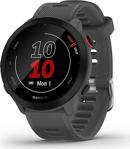 Garmin Forerunner 55 Akıllı Saat Gri