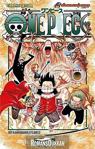 Gerekli Şeyler Yayıncılık One Piece 43. Cilt Biir Kahramanın Efsanesi