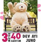 Gereksiz Şeyler Juno Bear Dev Peluş Ayı