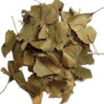 Ginkgo Biloba Yaprağı 50 G