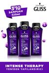 Gliss Intense Therapy Şampuan 525 ml x 3