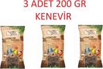 Gold Wings 200 gr 3'lü Paket Kenevir Tohumu