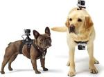 Gopro Bağlantı Parçası Fetch: Köpek İçin Kamera Aksesuarı 5gpradogm001