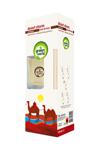 Green World Çöl Tılsımı 170 ml Bambu Çubuklu Oda Kokusu