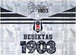 Hakan Çanta Tmn Beşiktaş Çıtçıtlı Dosya Dos-1903 464501 (12 Li Paket)