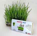 Happy Pet Kedi Çimi Seti 100Gr. Karışım Çim Taze Paket (Pet25)