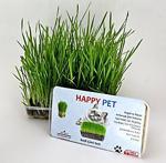 Happy Pet Kedi Çimi Seti 2'Li Paket Avantaj 100Gr. 9'Lu Karışım Çim (Pet28)