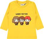 Harry Potter Erkek Bebek Sweatshirt 6-18 Ay Hardal