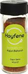 Hayfene 40 Gr Kajun Baharat