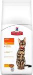 Hill 's Adult Light Tavuklu 3 kg Yetişkin Kuru Kedi Maması