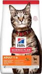 Hill's Adult Optimal Care Kuzu Etli ve Pirinçli 2 kg Yetişkin Kuru Kedi Maması