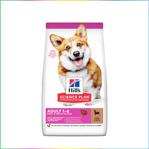 Hill's Adult Small Miniature 6 kg Kuzu Etli Pirinçli Küçük Irk Yetişkin Köpek Maması