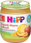 Hipp Organik Meyve Kokteyli 125 gr Kavanoz Maması