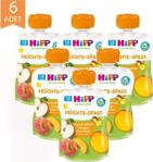 Hipp Organik Şeftalili Mangolu Elma Püresi 90Gr 6 Lı Paket