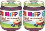 Hipp Organik Yabanmersinli Elma Püresi 125 gr 2'li Kavanoz Maması