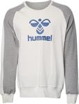 Hummel Dıno Erkek Sweatshırt