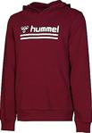 Hummel Erkek Günlük Ceket 920923-9973 Darin Hoodie